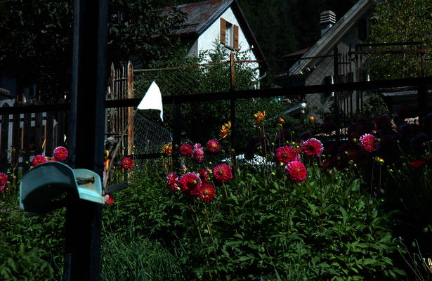 Una postazione fiorita lungo il percorso "5 volte" dell'artista grigionese Christian Ratti